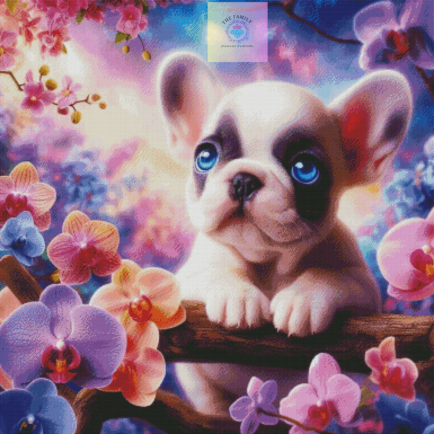 Rêve de printemps canin