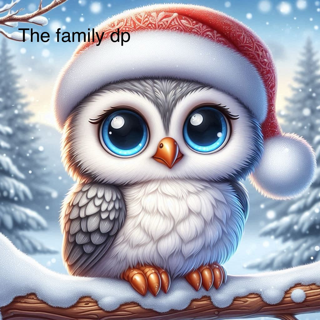 Petit hibou de Noël